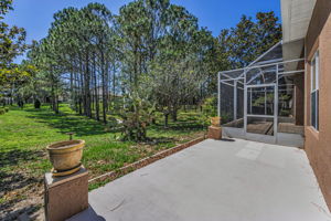 Patio2