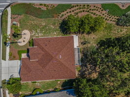 Aerial (16)