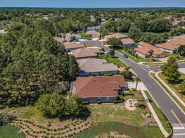 Aerial (17)