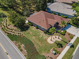 Aerial (19)