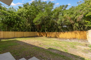 Backyard