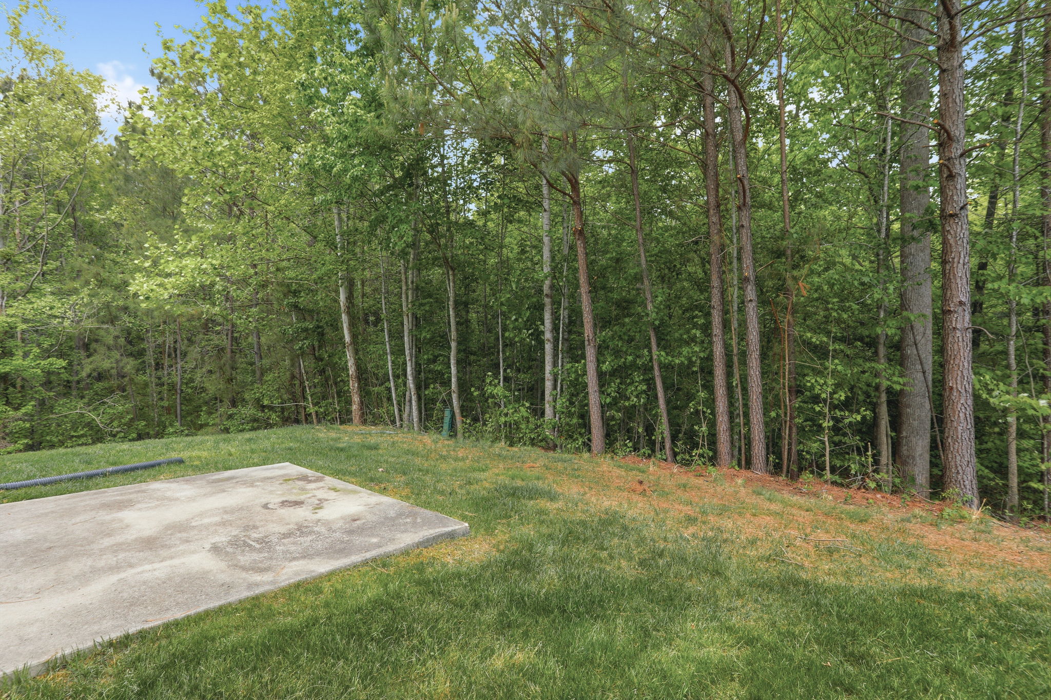 28-Patio and Backyard