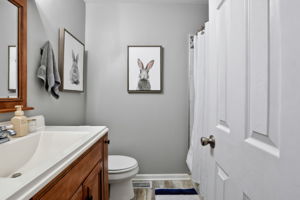  Photo 46