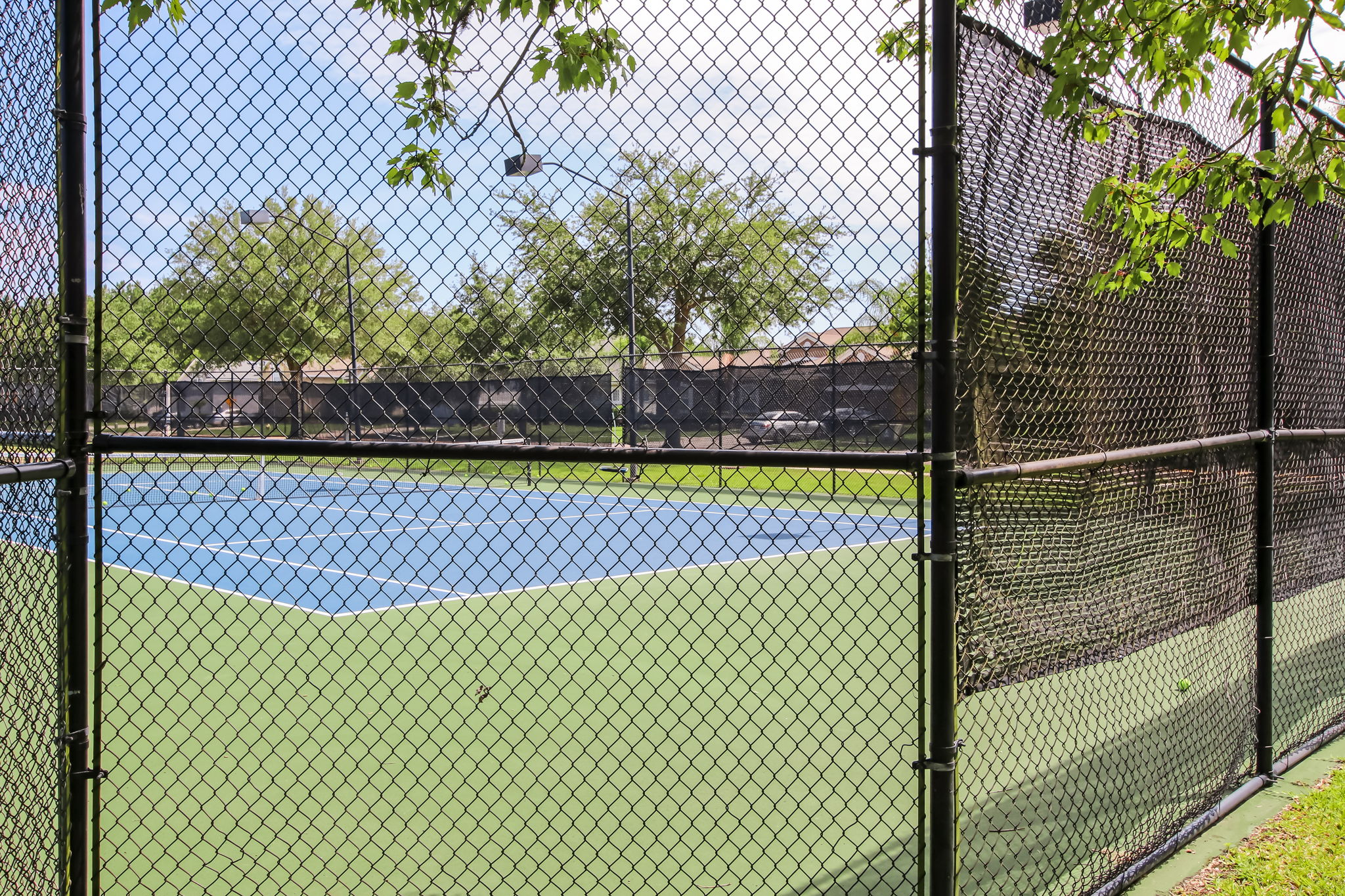 Bartram Springs