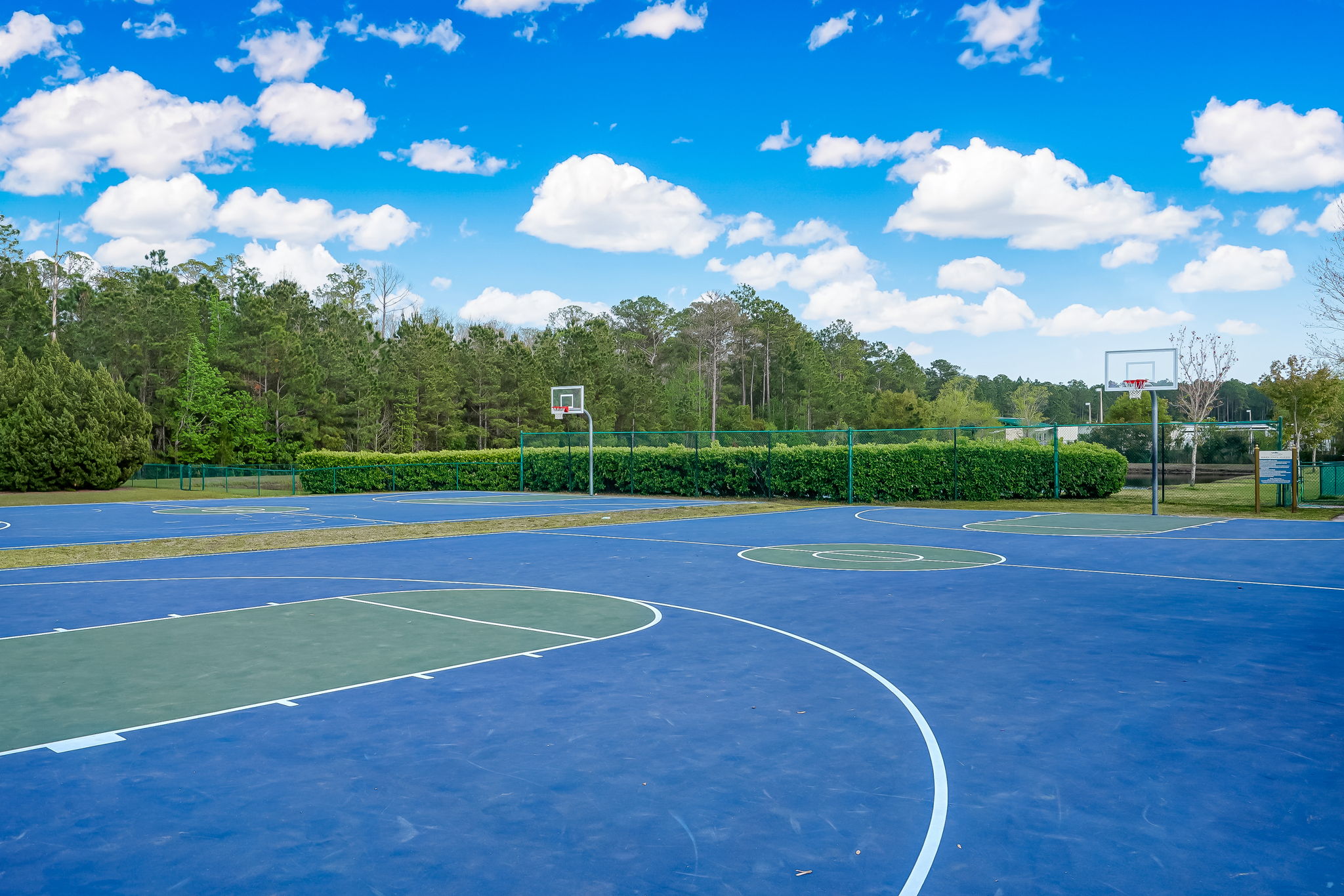 Bartram Springs