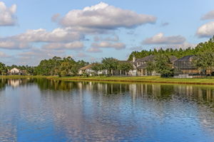 Bartram Springs