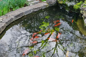  Photo 53