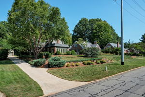 Front Yard