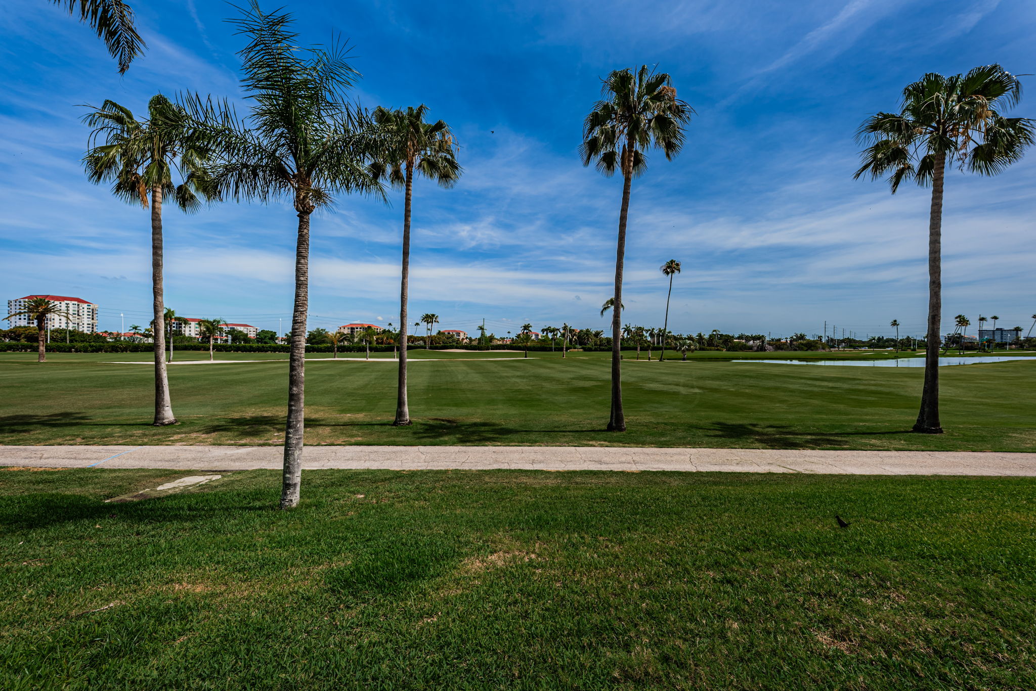 Golf Course 4