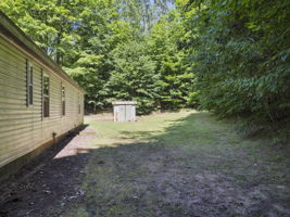  Photo 45