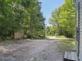  Photo 46
