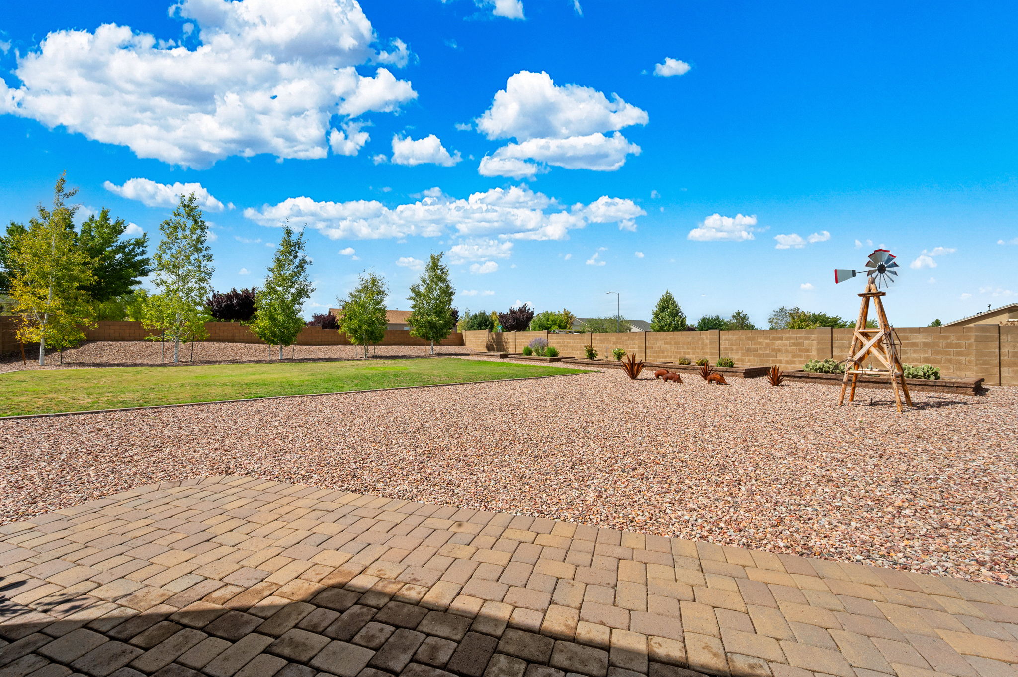 Backyard_5