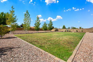 Backyard_3