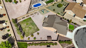 Birds Eye