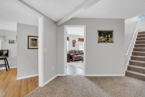  Photo 48