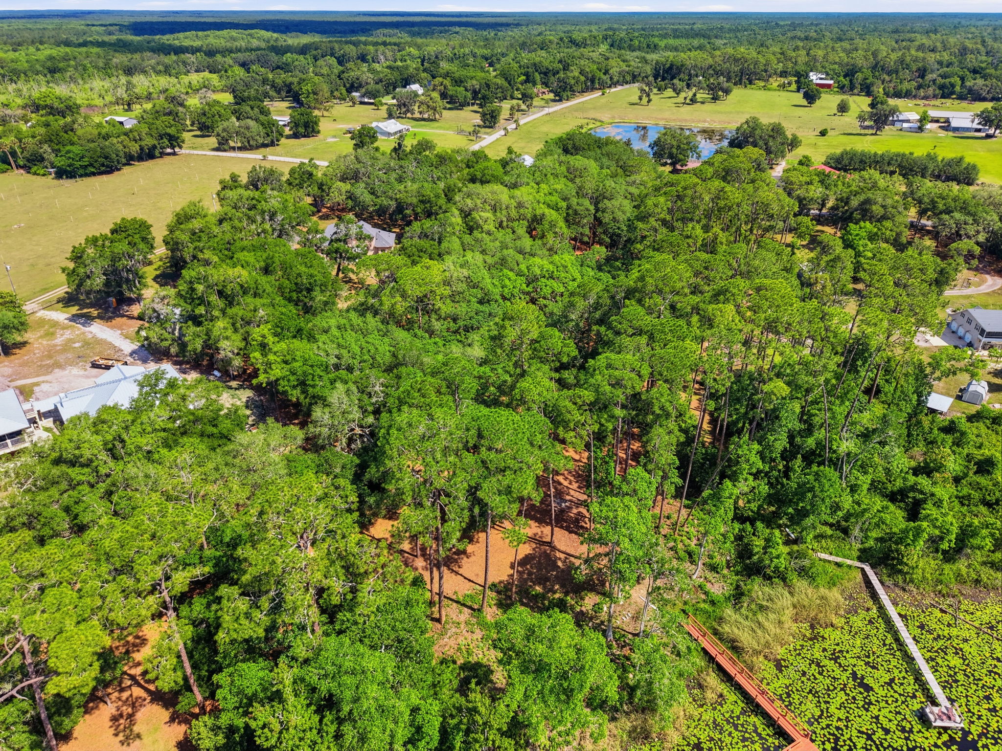 6197 Lake Winona Rd, De Leon Springs, FL 32130, USA Photo 94