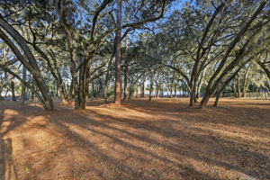 6197 Lake Winona Rd, De Leon Springs, FL 32130, USA Photo 29