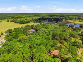 6197 Lake Winona Rd, De Leon Springs, FL 32130, USA Photo 97
