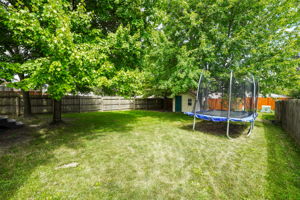  Photo 37