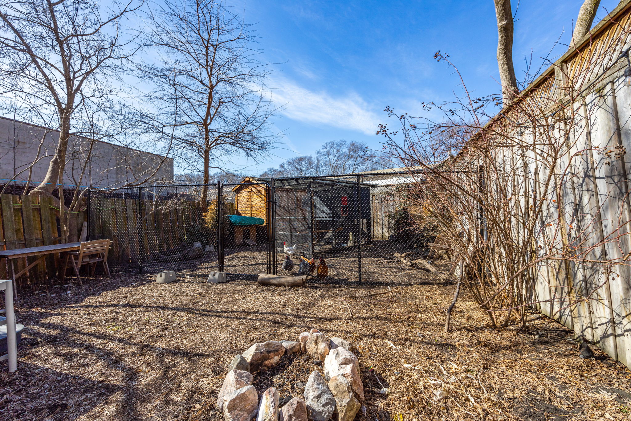 Toronto property showcase — delivered property photograph 48