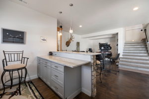 Bar & Rec Area (Walk-Out Basement)