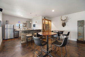 Bar & Rec Area (Walk-Out Basement)