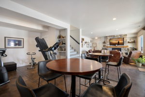 Rec Area & Family Room (Walk-Out Basement)