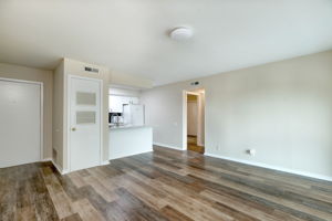 Living/Kitchen