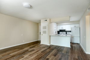 Living/Kitchen