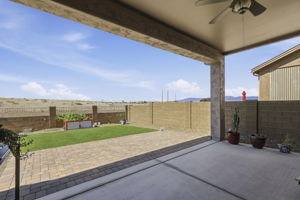 Back Patio 2