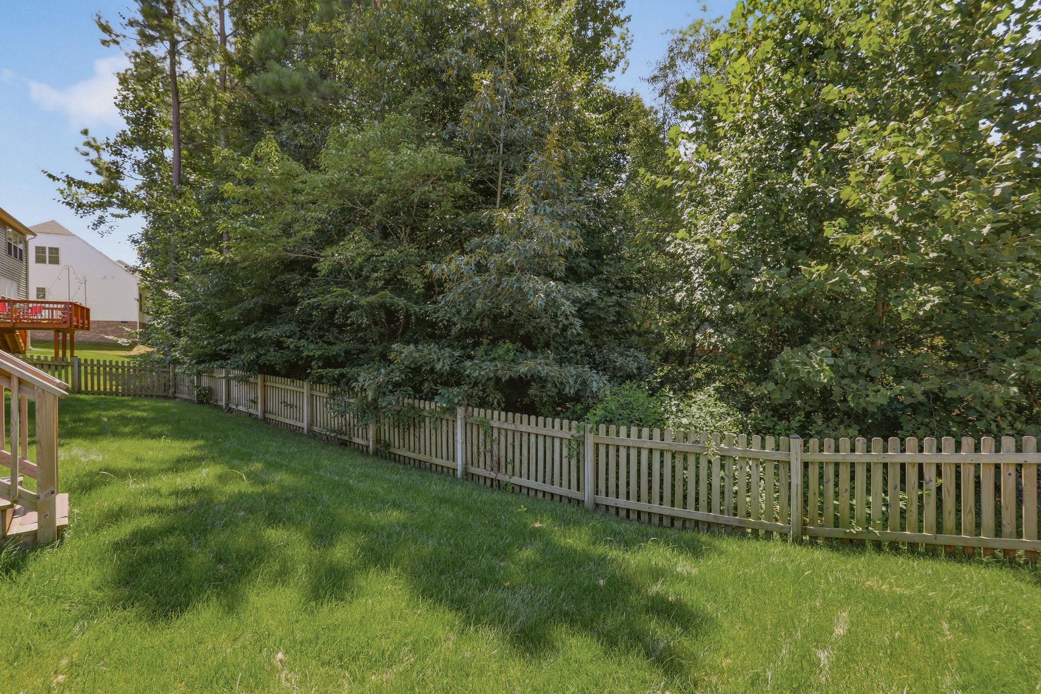 41-Backyard