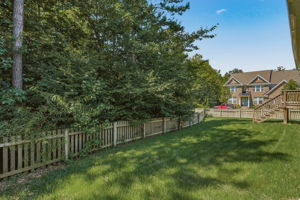 40-Backyard