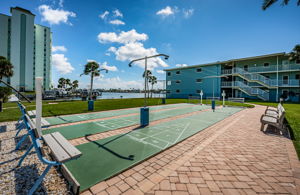 10-Shuffleboard1