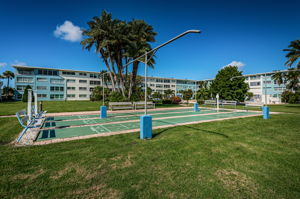 11-Shuffleboard1