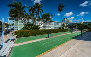 20-Shuffleboard2
