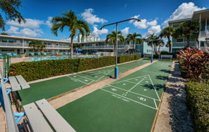 32-Shuffleboard3