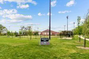 DSC01844.jpg