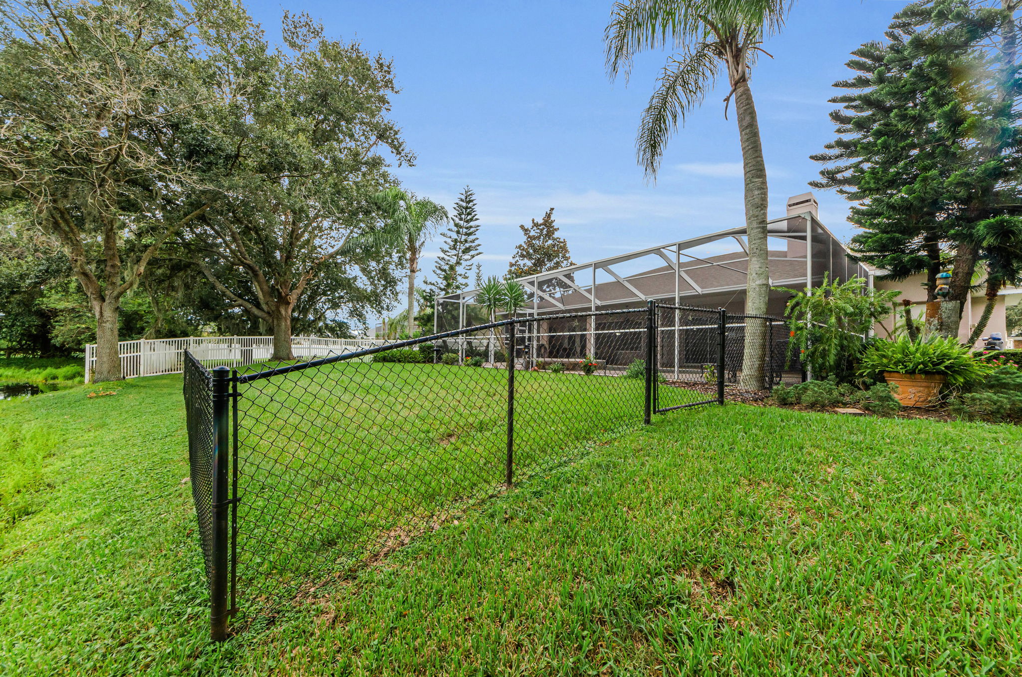 Backyard 2