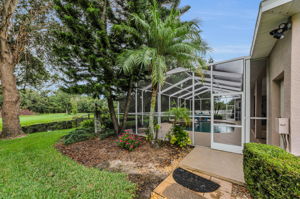 Backyard 1