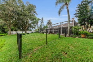 Backyard 2