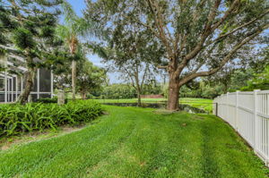 Backyard 5