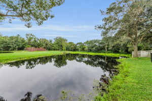 Pond View 1