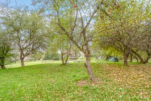 6205 Sixth Line, Belwood, ON N0B 1J0, Canada Photo 20