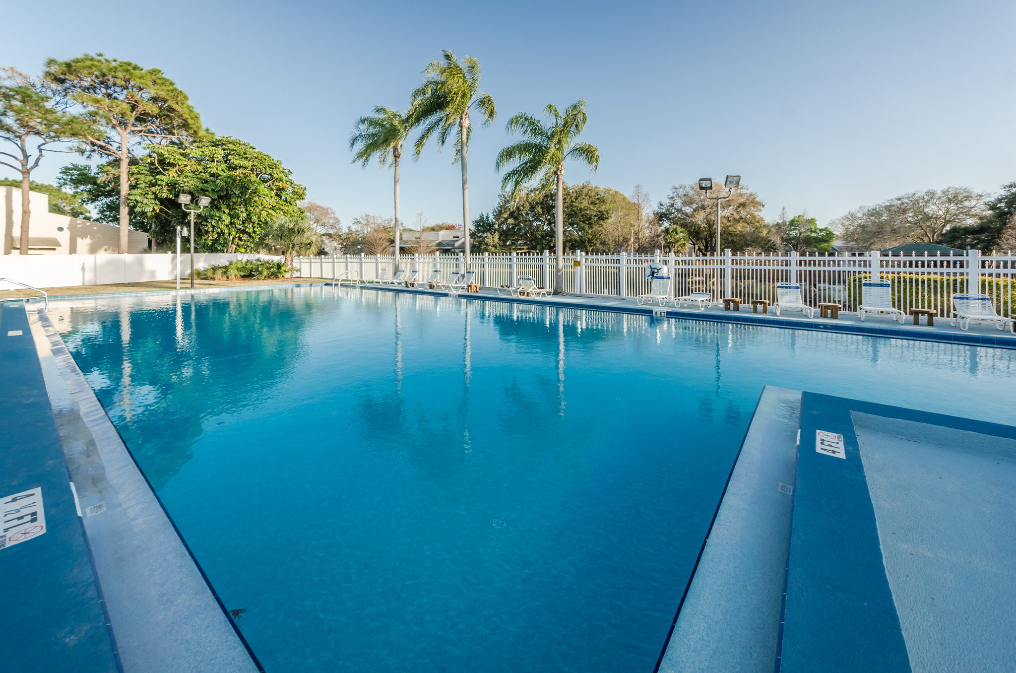 Lake Forest Pool3