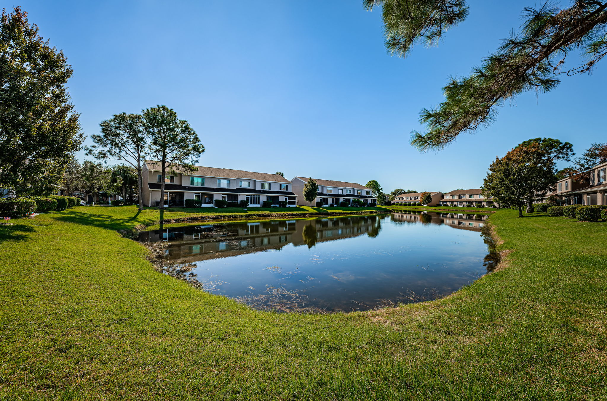 Pond 1