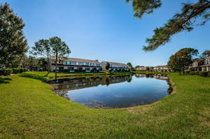 Pond 1