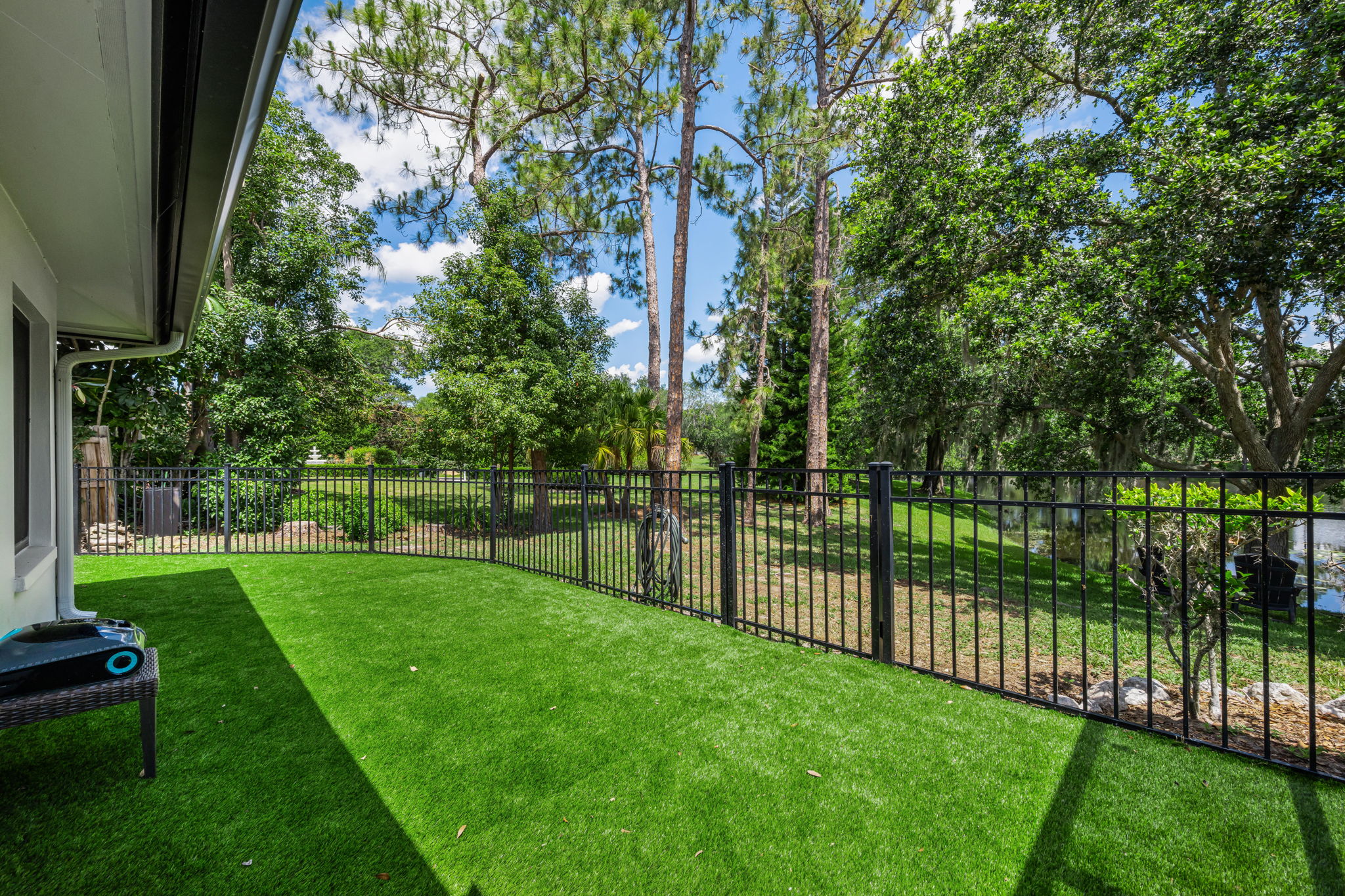 Backyard 1
