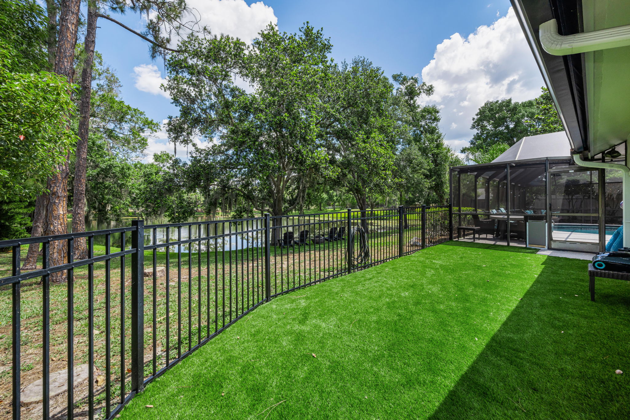 Backyard 2