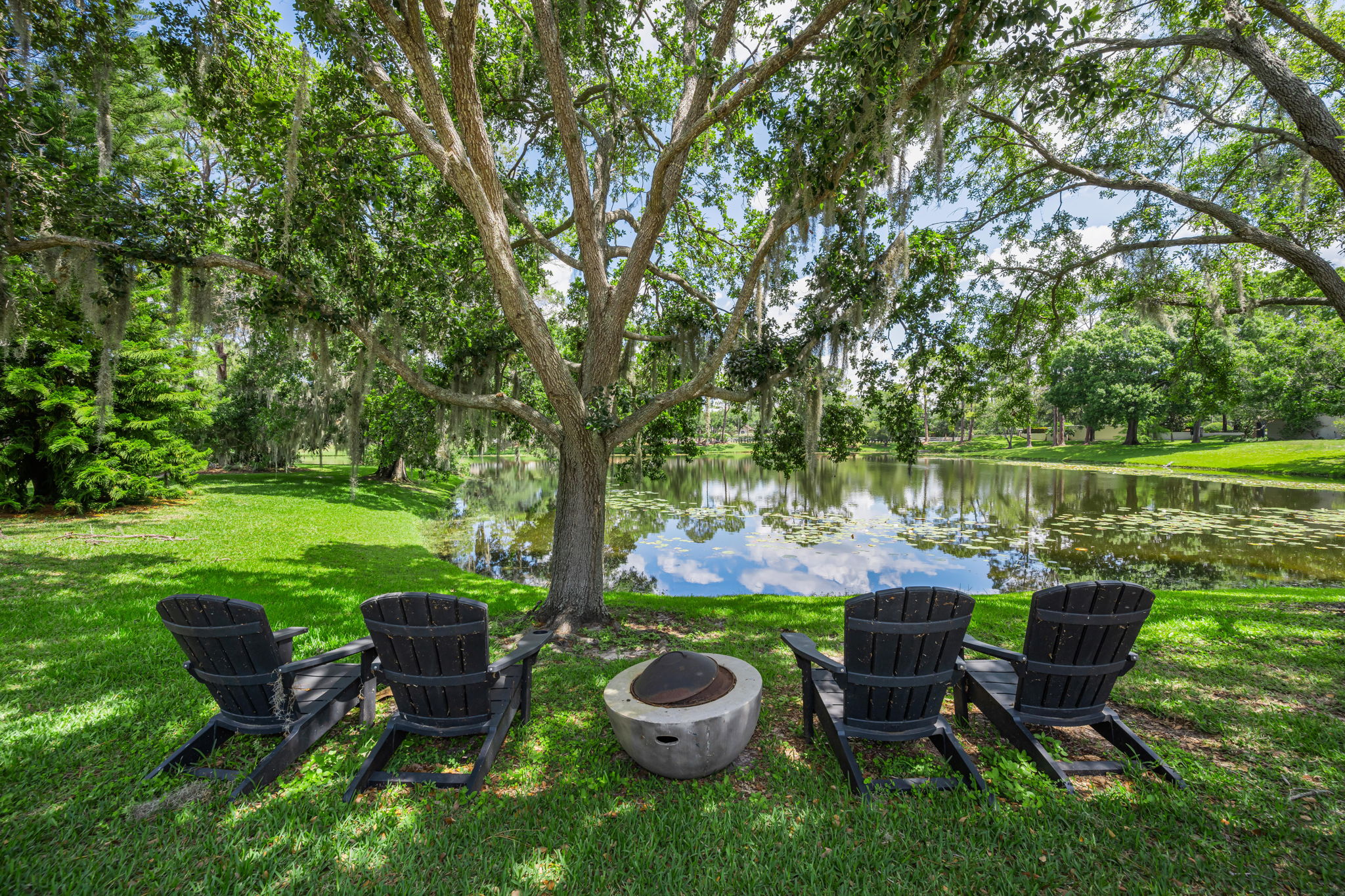 Backyard 4