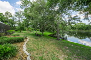 Backyard 7
